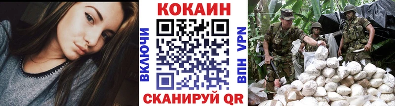 купить  цена  МЕГА сайт  Кокаин FishScale  Торопец 